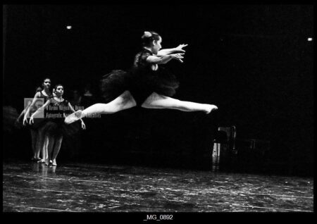 O Reino Magico da Dança 0212