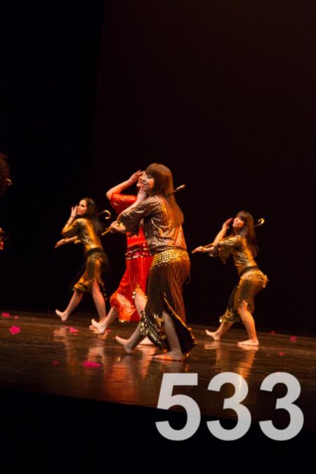 Dança na Luz 533