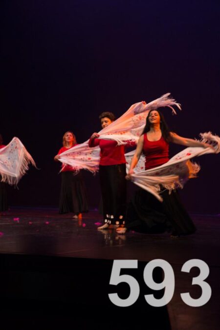 Dança na Luz 593