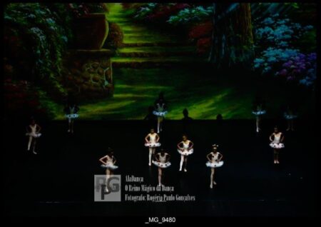 O Reino Magico da Dança 0066