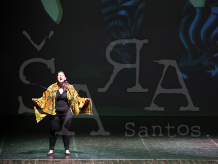 Ai!aDança em Festa 469