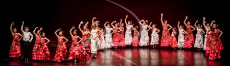 Dança em mim, Portugal! 228