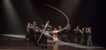Dança em mim, Portugal! 282