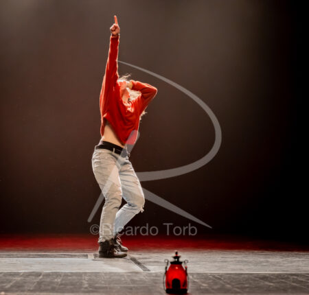 O ESPÍRITO DA DANÇA - 0029