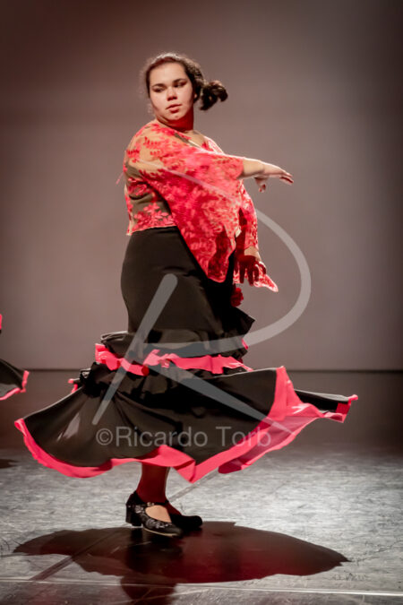 O ESPÍRITO DA DANÇA - 0100