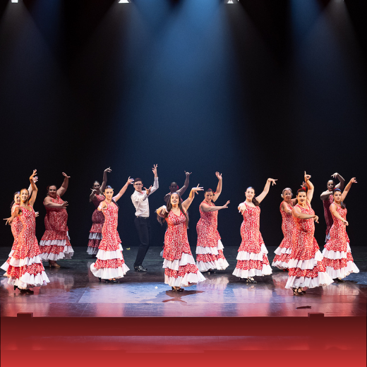 FLASH MOB Dia Internacional do Flamenco