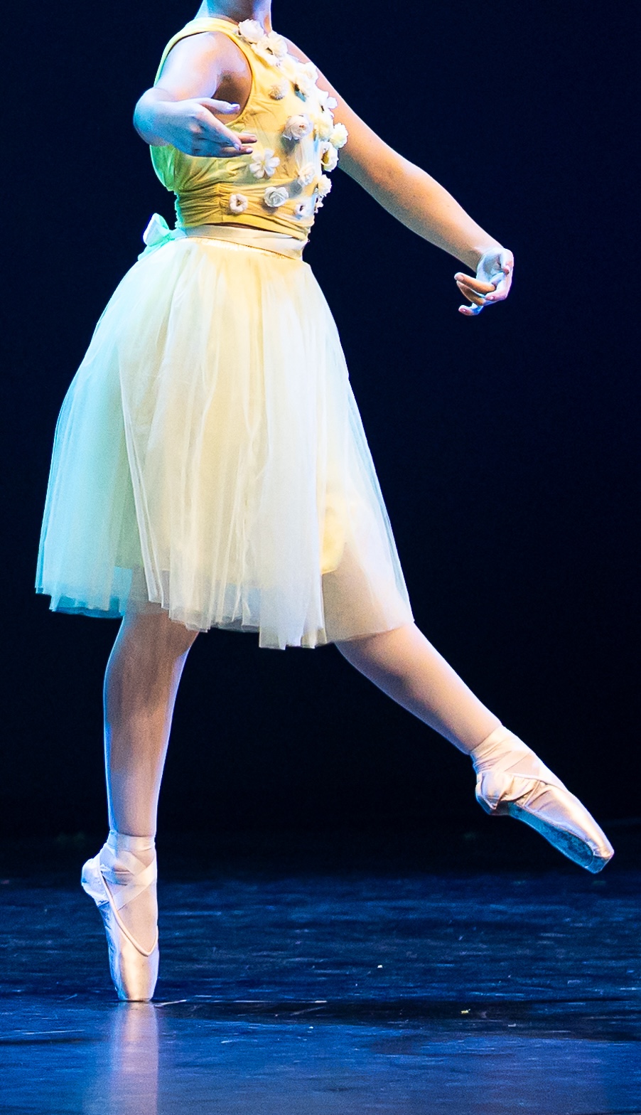 Ballet para Adultos