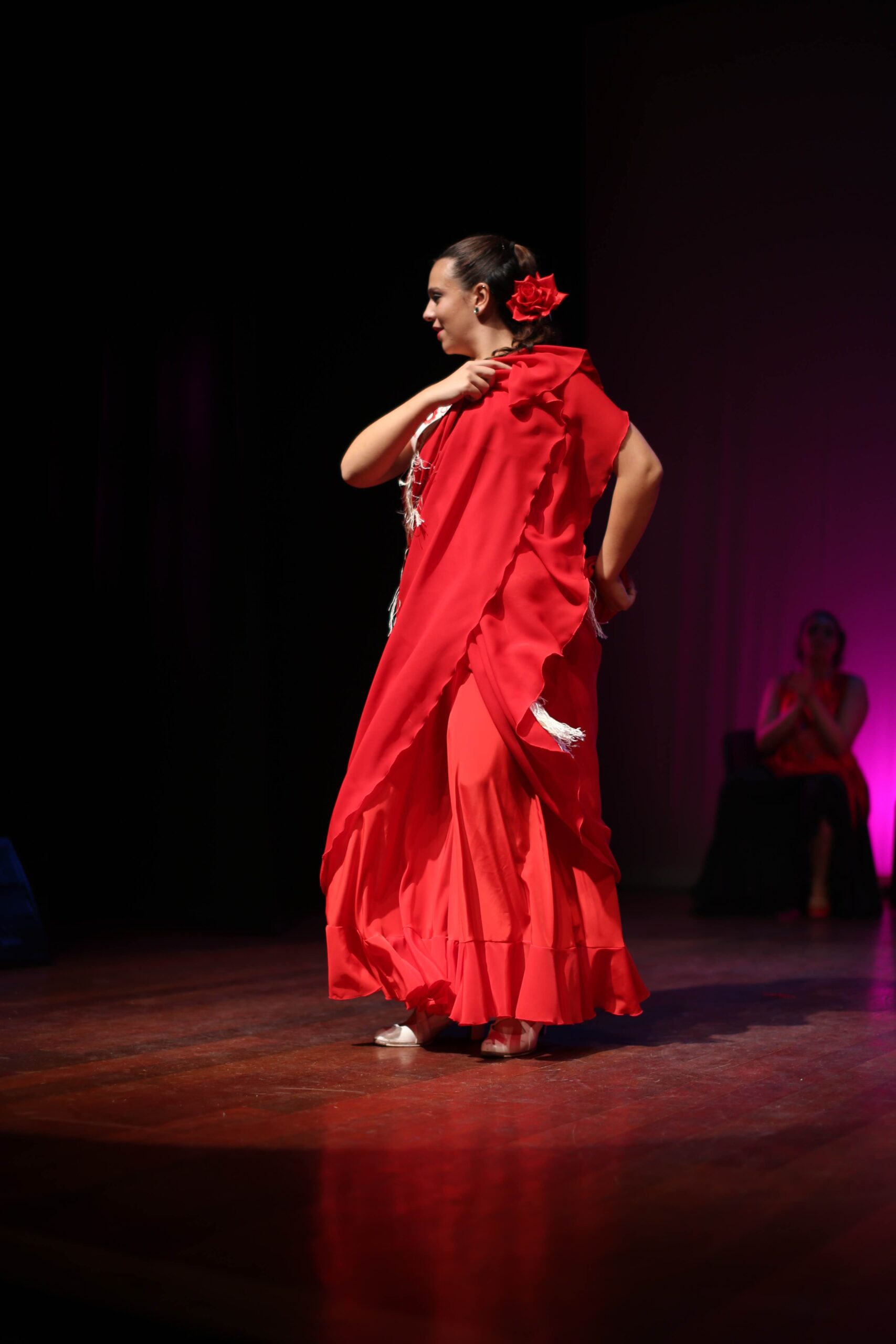 galeria de fotos