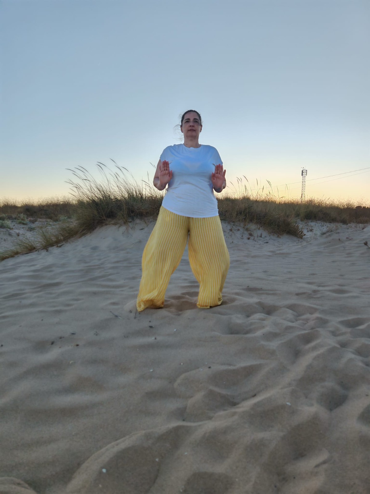 CHI KUNG - QIGONG*